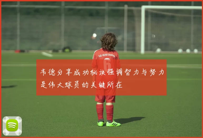 韦德分享成功秘诀强调智力与努力是伟大球员的关键所在