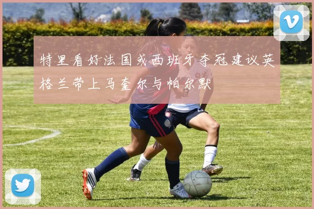 特里看好法国或西班牙夺冠建议英格兰带上马奎尔与帕尔默
